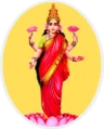 Sri Laxmi Coffee Works